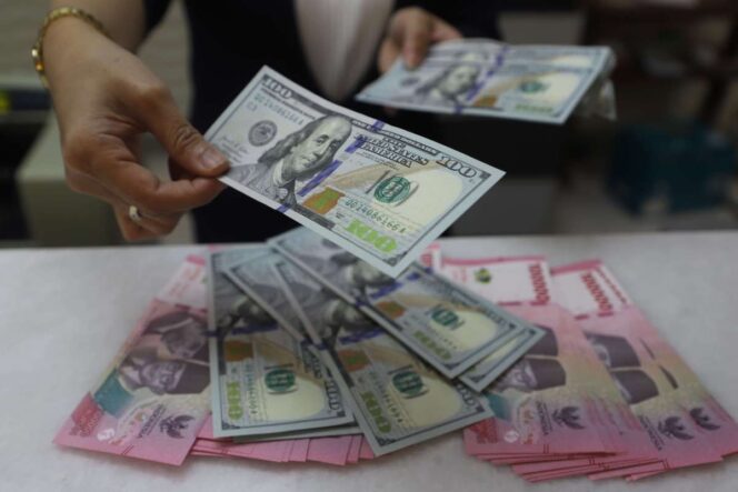 
Pelemahan rupiah ke level Rp17.900 per dolar AS memicu kekhawatiran terhadap inflasi dan pertumbuhan ekonomi nasional.