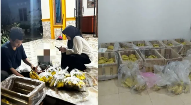 Pedagang buah di Kota Metro mengeluhkan kerugian setelah pesanan MBG dibatalkan.